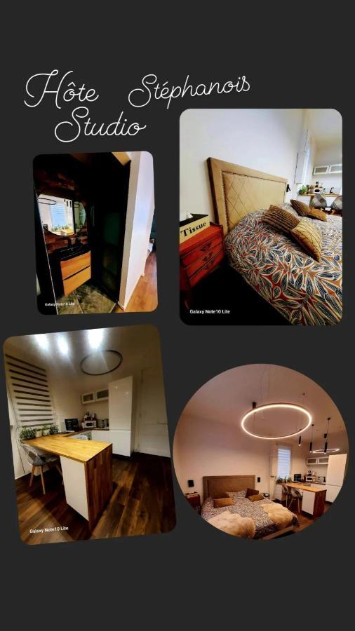 Hote Stephanois Studio, Parking& Borne Electrique Saint-Etienne  Luaran gambar